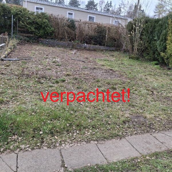 Verpachtet: Blick auf die Parzelle A44